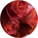 Наталя Кухарчук profile picture